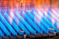 Milton Abbas gas fired boilers